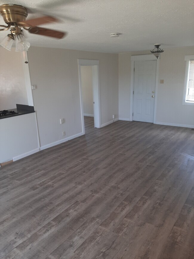 Living/bedroom - 1132 Robinson Ave