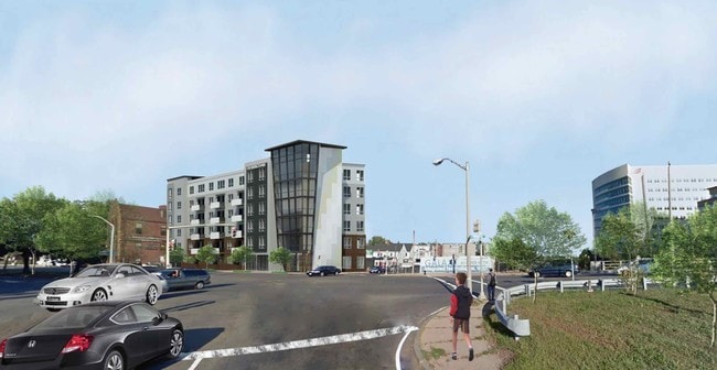 Photo - Cadence on Leo