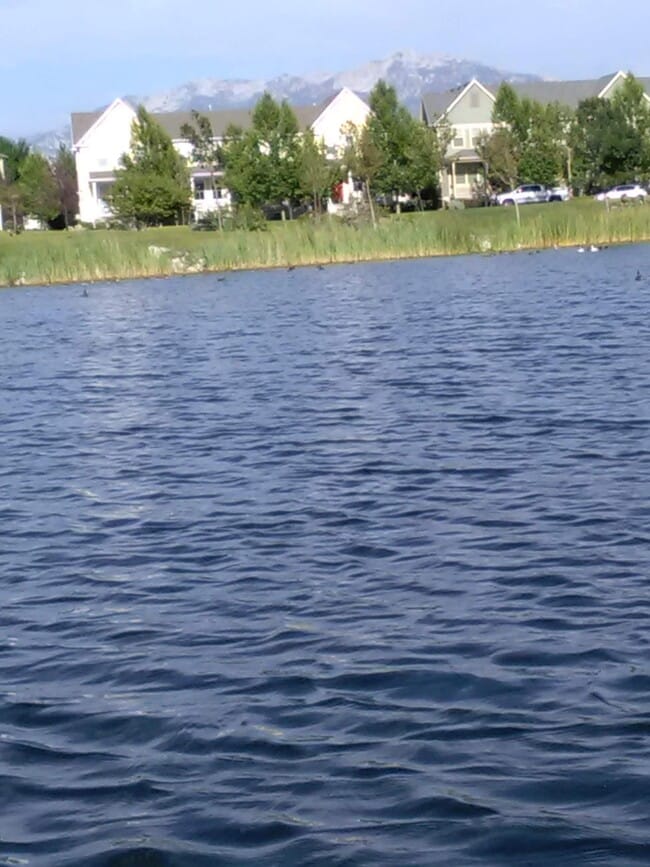 Photo - 10507 S Oquirrh Lk Rd