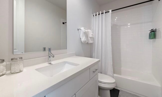Photo - 805 Bringhurst St