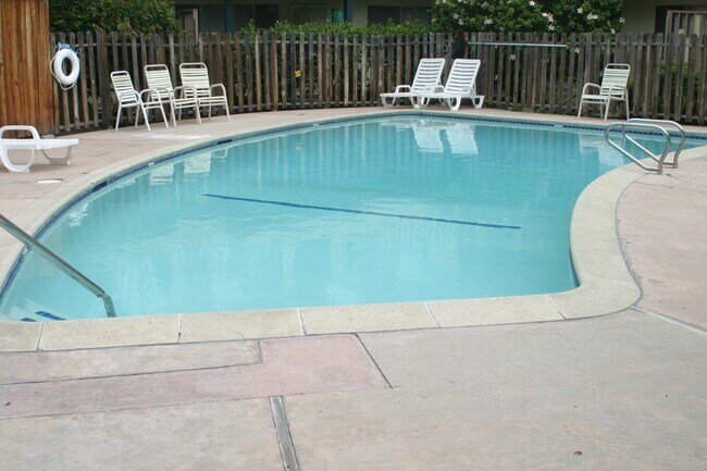 Photo - Palms Garden Apartments - the Tropical Gem...