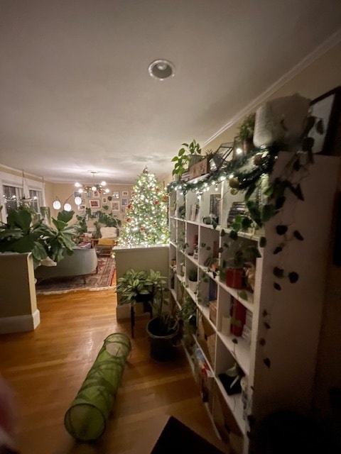 Photo - 88 Warwick Rd