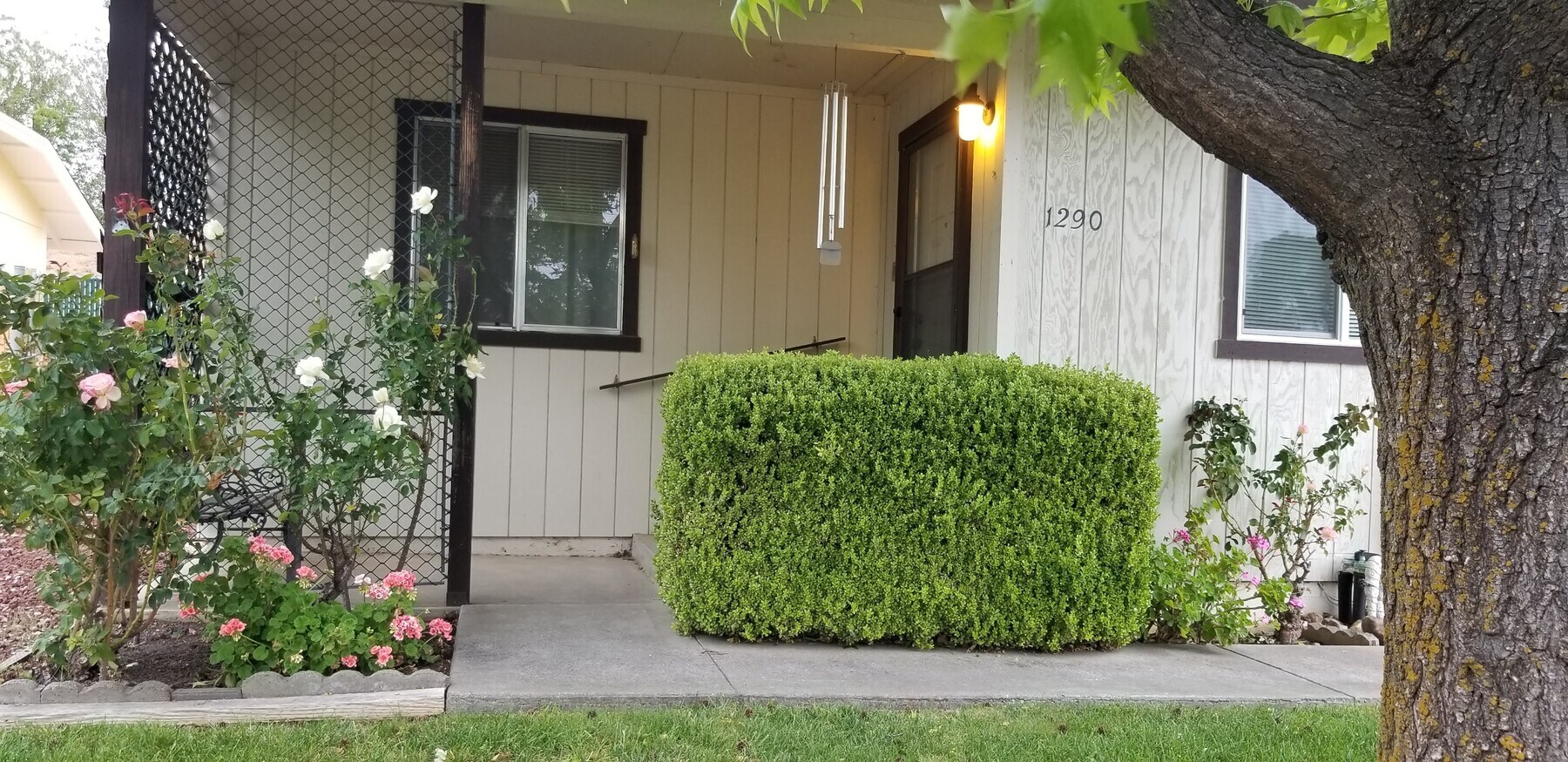 Photo - 1290 Aloha St