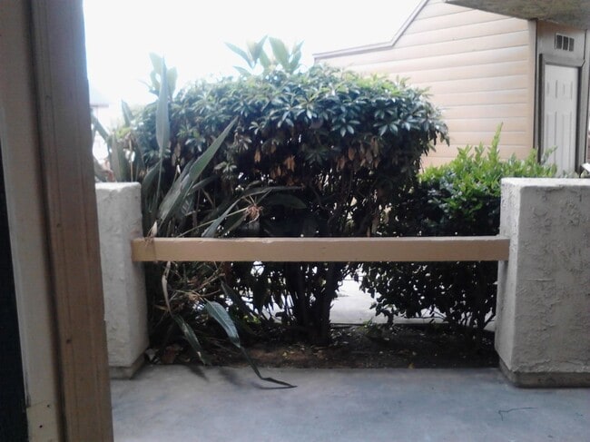 Photo - 101 W Olive Ave Unidad A