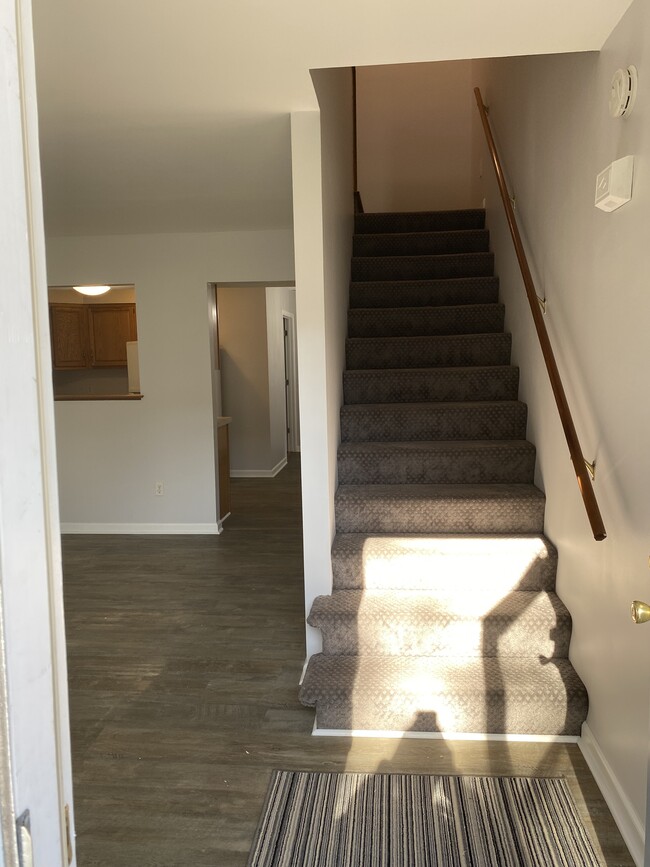 Entrance and Living Room - 569 Campbells Creek Dr Townhome