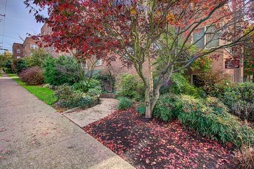 Photo - 1 bedroom in Seattle WA 98102 Unidad 11