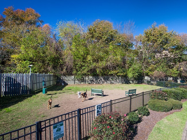 Dog park at Holly Point Apartments