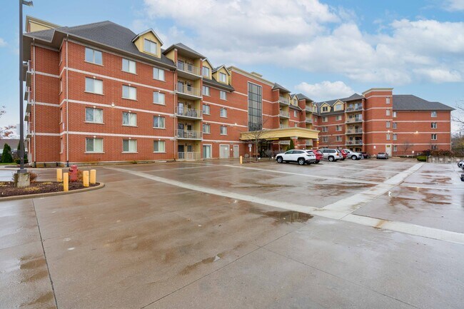 Photo - Bellagio Niagra