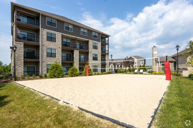 Volleyball Court