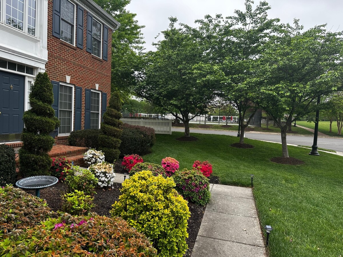 Photo - 43083 Claremorris Way
