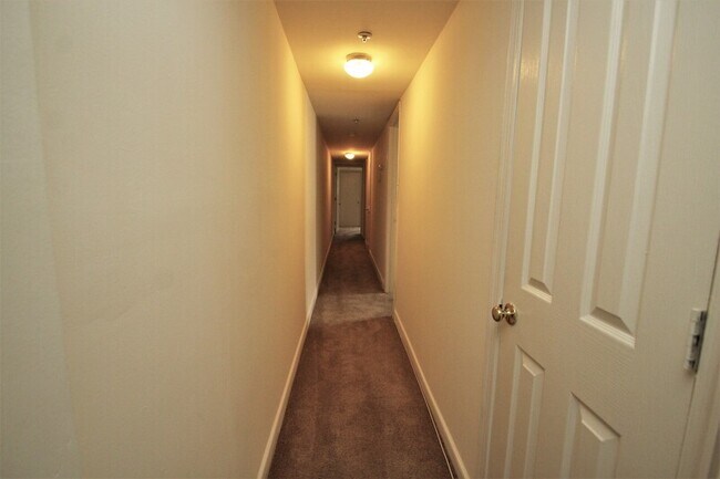 Photo - 223 E Preston St Unidad Basement