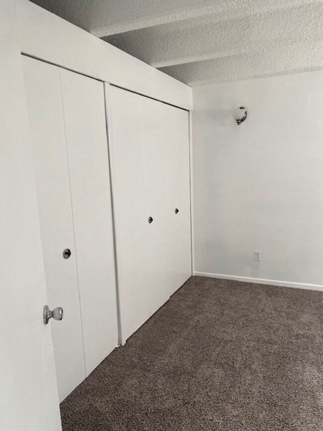 Photo - Newly remodeled 1-bedroom apartment near DU Unit 105