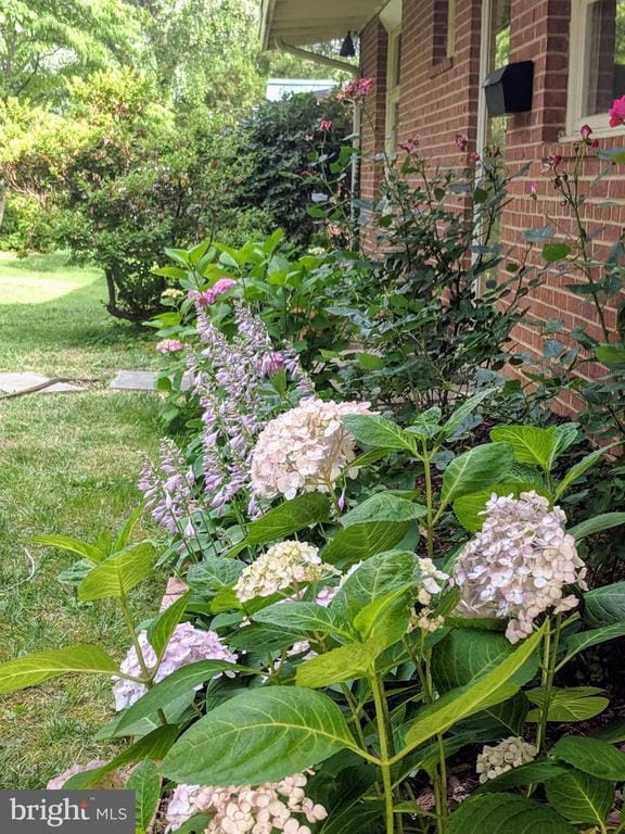 Photo - 6519 Byrnes Dr