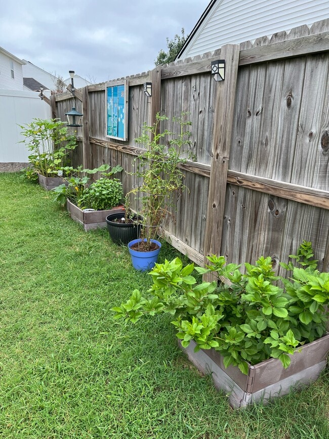 Photo - 800 Chilhowee Ct