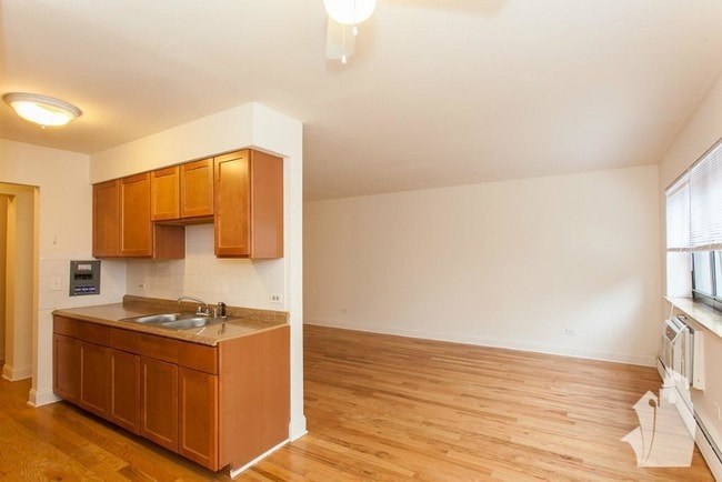 510 W Briar Pl Unit 301