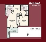 Redbud