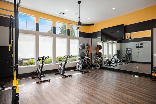 Spin bikes and weights