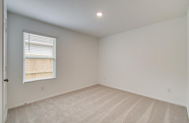 31212 Piccolo Fiore Ln