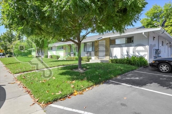 Photo - 6705 Greenback Ln
