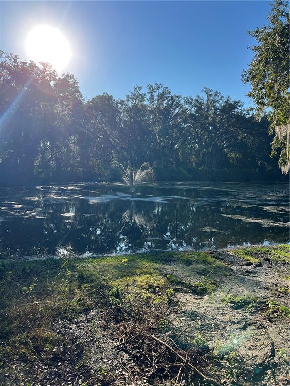 Photo - 4111 Ryals Rd