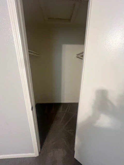 1BR - Walkin Closet