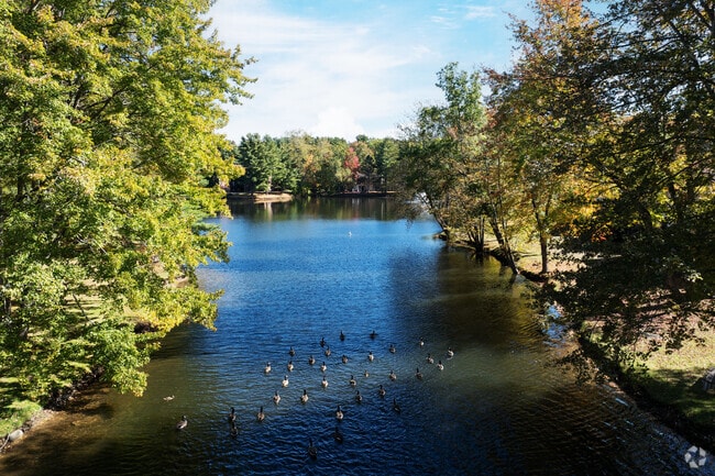 Lake