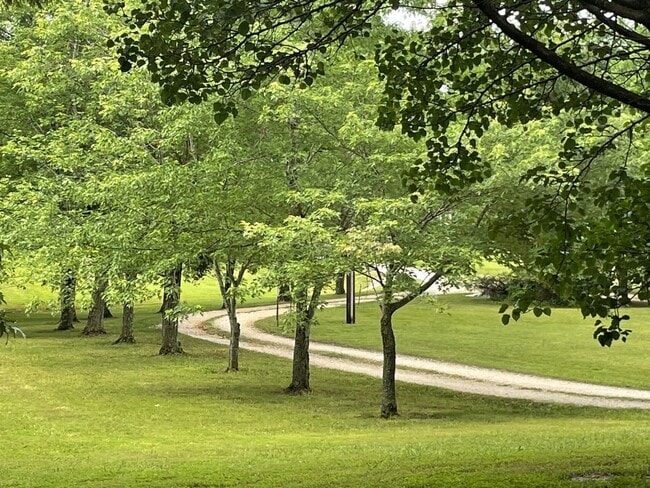 Photo - 174 Schools Dr