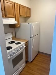 Photo - Woodland Park - Holstein