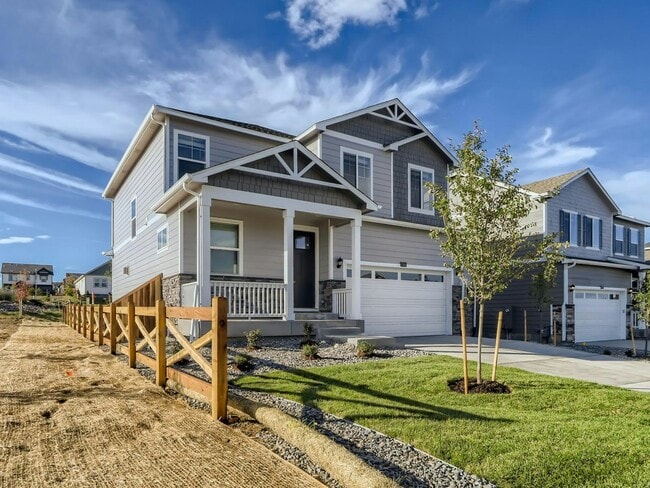 Photo - 17434 Red Cosmos Pt