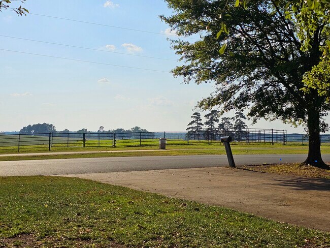 Photo - Muleride Manor