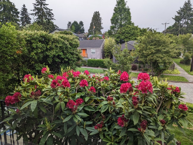 Photo - 6002 37th Ave SW