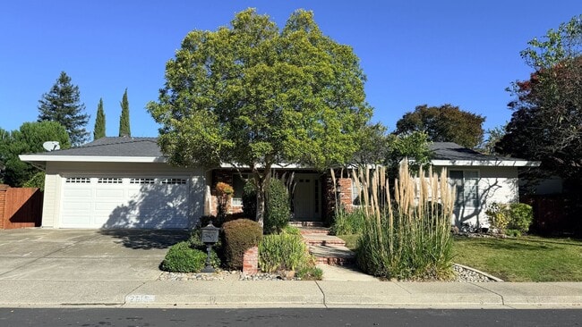 Building Photo - NEWLY RENOVATED- 4BD/2BA, Single-Family Home in Twin Creeks Area of San Ramon- Available NOW!