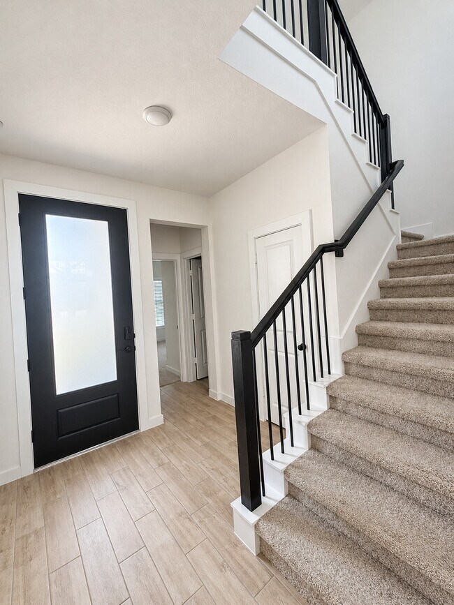 21506 Sand Fringepod Wy