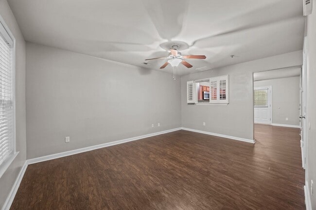 Photo - Welcome to Acorn Forest!