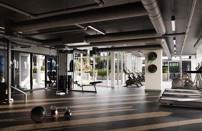 Gym - One Fifty Braid