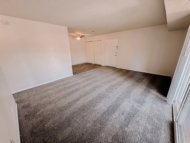Expansive Living Room