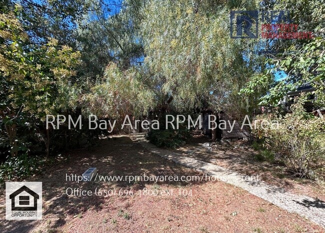 Photo - Spacious and Classic Home in Mountainview ...