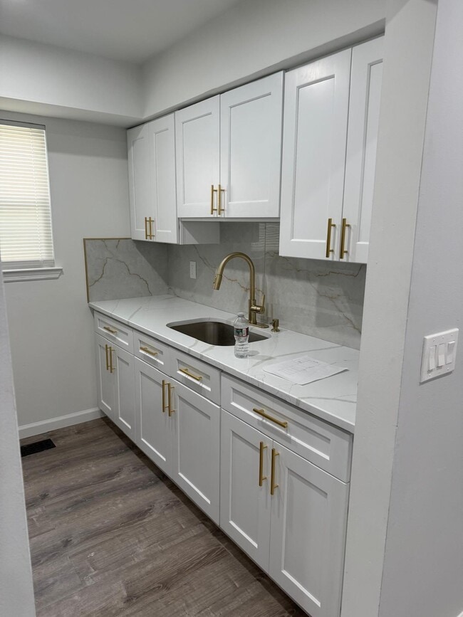 New Reno Kitch countertops, sink, and cabs