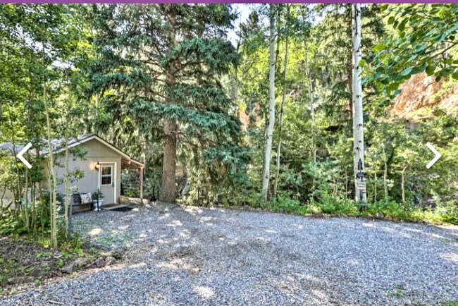 Photo - 4403 Chicago Creek Rd