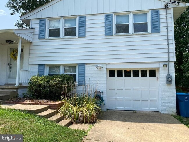 Photo - Show stopper