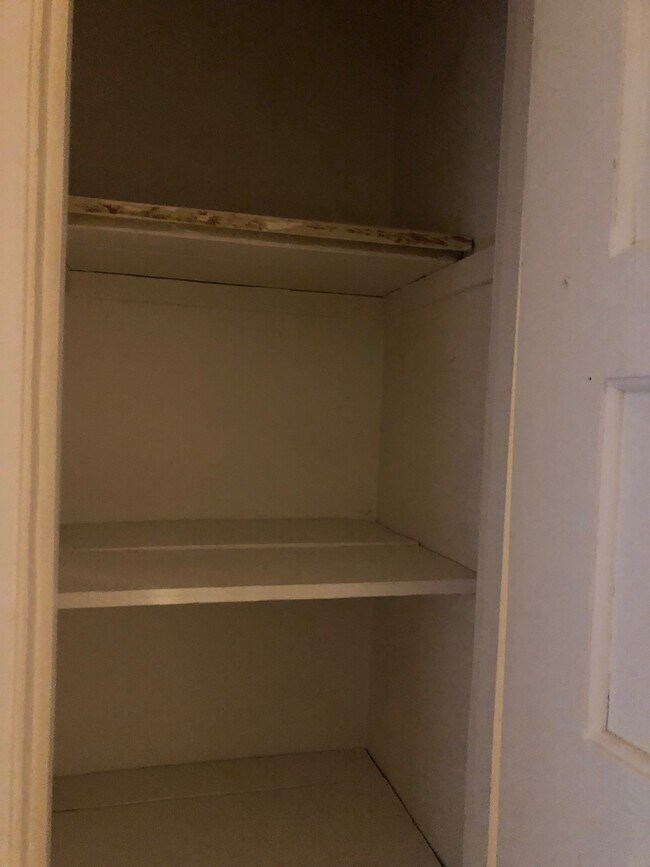 Hallway closet - 406 N Delaware St Unit 210