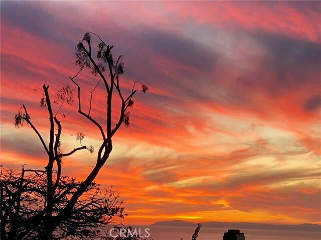 Photo - 1076 Miramar St Casa