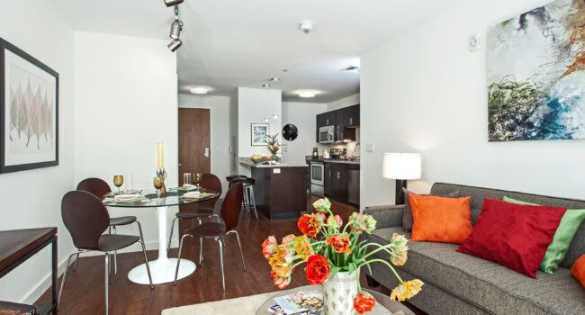 Photo - 50 Centre/Enso (Artist) Flats