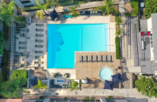 Resort Style Pool