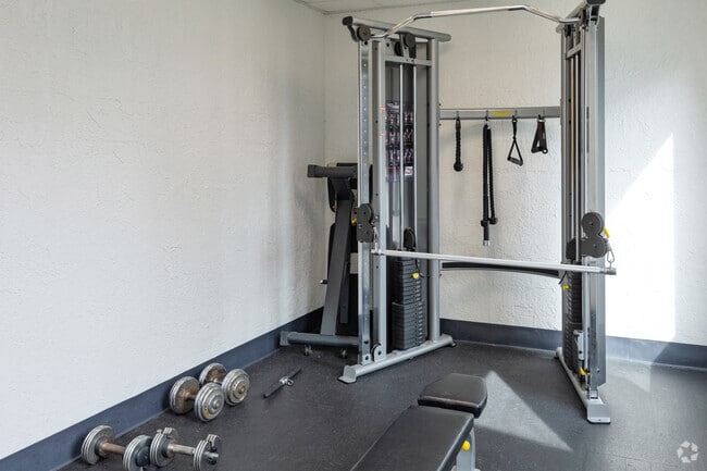 Gimnasio