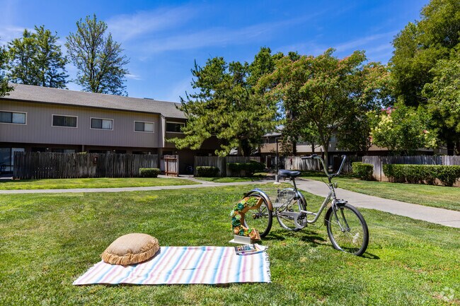 Picnic Area