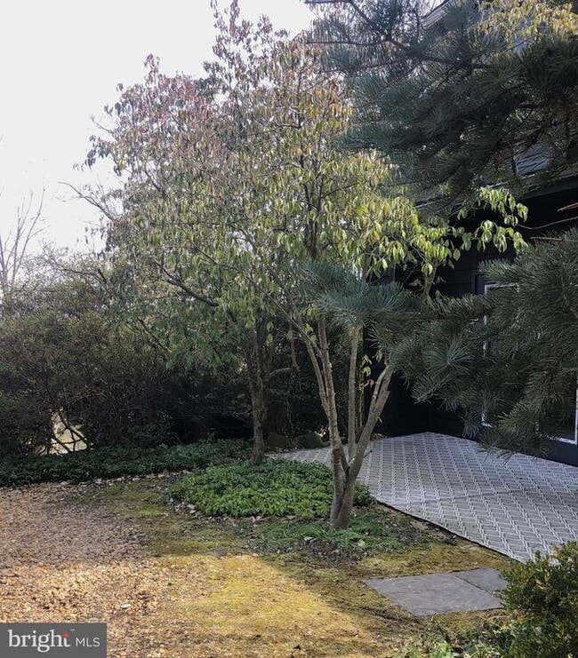 Photo - 8376 Meadows Rd