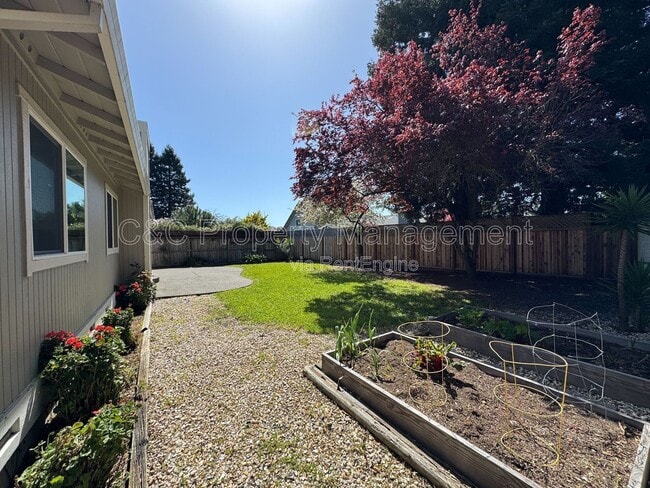 1663 Calle Ranchero Dr