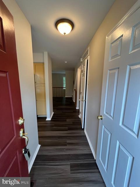 Building Photo - 1049 Wingate Ct Rental