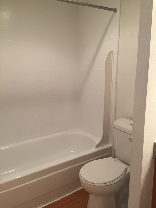 Photo - Windswept Gardens